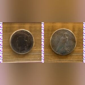 ✨1923 Gorgeous Toned Silver Peace Dollar✨